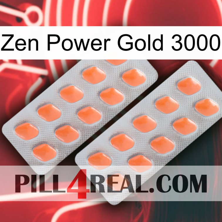 Zen Power Gold 3000 27